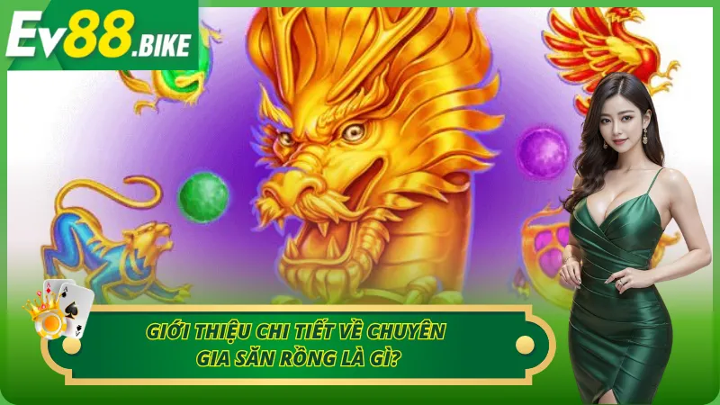 Giới thiệu chi tiết về chuyên gia săn rồng là gì?