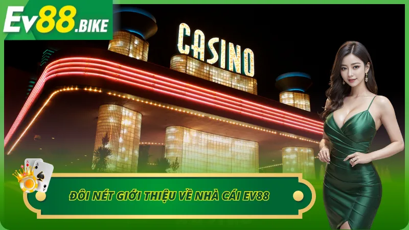 Thông tin cơ bản về nhà cái cá cược hàng đầu hiện nay