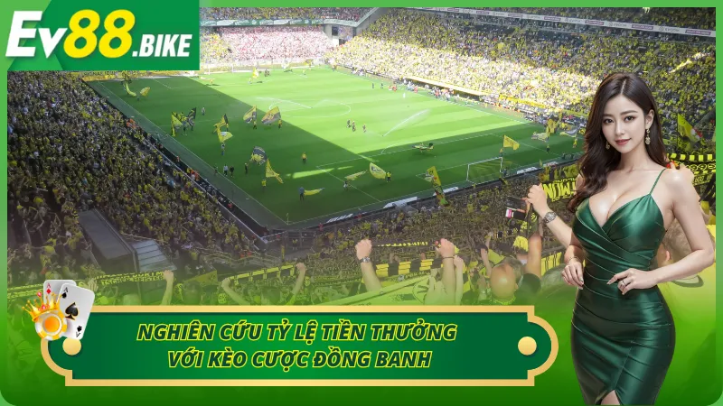 Nghiên cứu tỷ lệ tiền cược trong kèo đồng banh