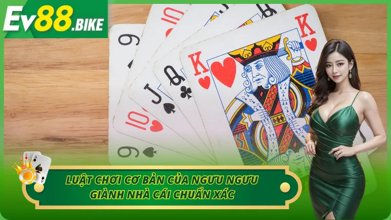 Luật chơi cơ bản của ngưu ngưu giành nhà cái chuẩn xác