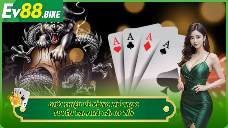 Giới thiệu về rồng và hổ trực tuyến tại nhà cái uy tín