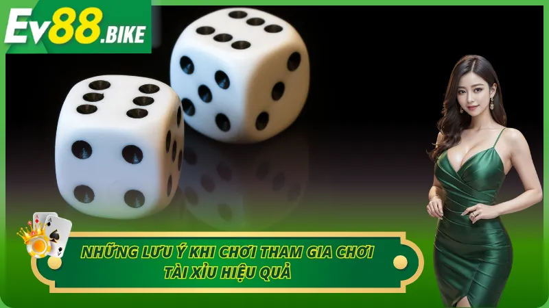 Những lưu ý khi chơi tham gia chơi tài xỉu hiệu quả